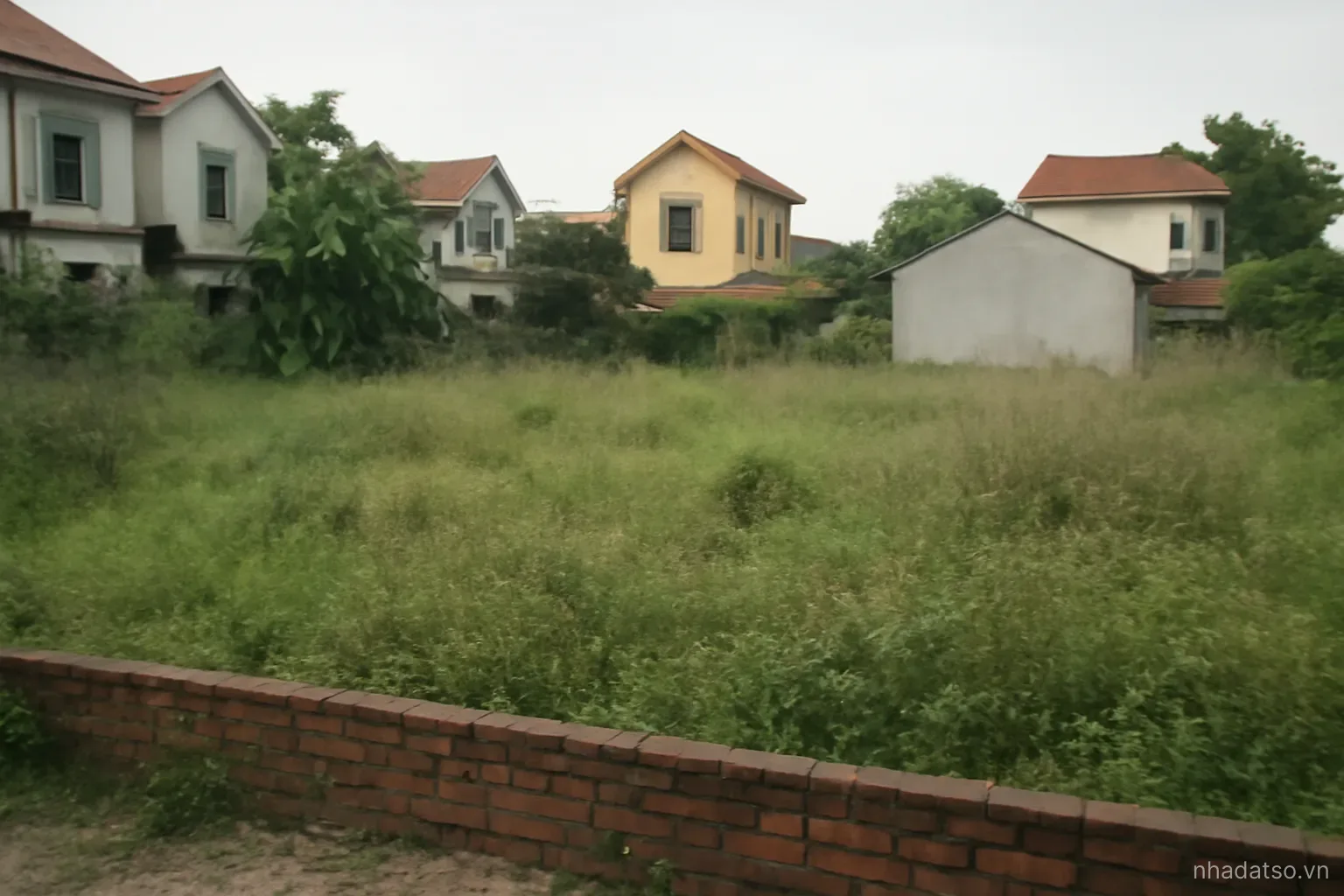 Đất chưa có giấy chứng nhận
